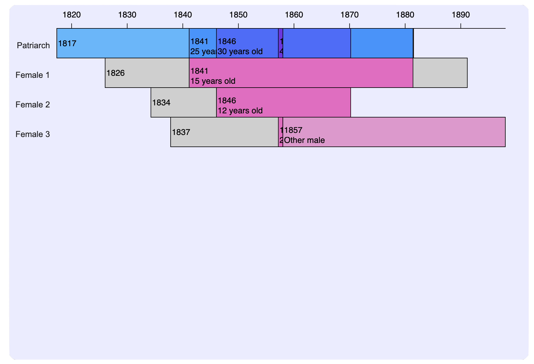 Plural Family Example